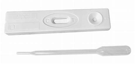Pregnancy Test CLIA Waived - Cassette - 25 tests/bx