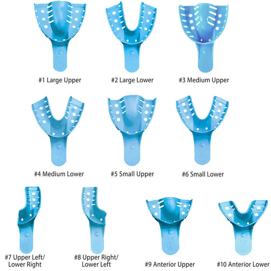 Impression Trays, Perforated, 12/bg